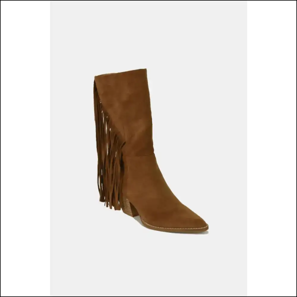 Boho Chic Suede Fringe Point Toe Boots