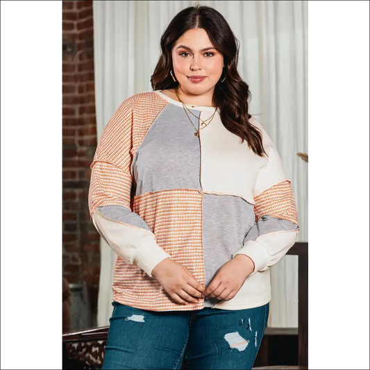 Chic Plus Size Color Block Round Neck Sweatshirt - Pink / 1x - Sweatshirts & Hoodies on Sale Worldwide Shipping